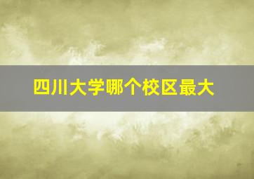 四川大学哪个校区最大