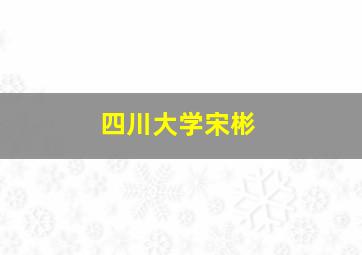 四川大学宋彬