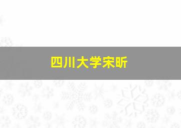 四川大学宋昕