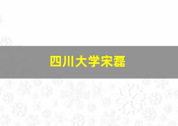 四川大学宋磊