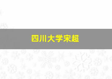 四川大学宋超