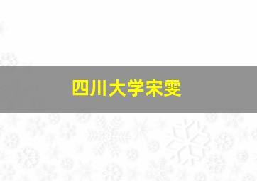 四川大学宋雯