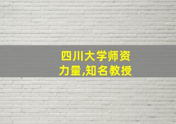 四川大学师资力量,知名教授