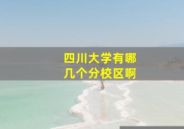 四川大学有哪几个分校区啊