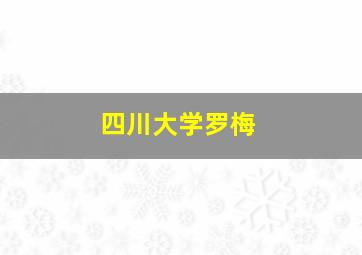 四川大学罗梅