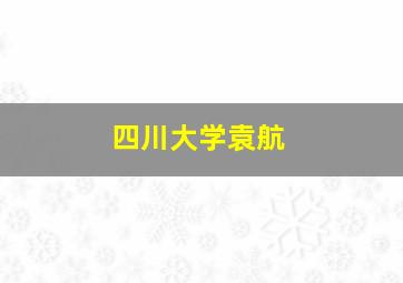 四川大学袁航