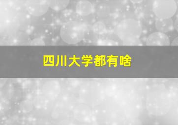 四川大学都有啥