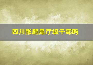 四川张鹏是厅级干部吗