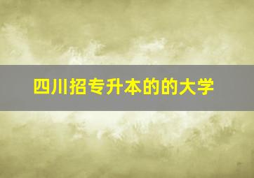 四川招专升本的的大学