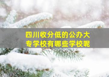 四川收分低的公办大专学校有哪些学校呢