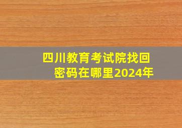 四川教育考试院找回密码在哪里2024年