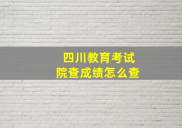 四川教育考试院查成绩怎么查