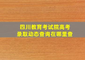 四川教育考试院高考录取动态查询在哪里查