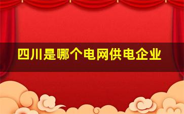 四川是哪个电网供电企业