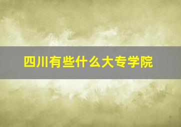 四川有些什么大专学院