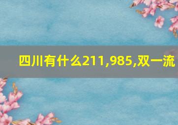 四川有什么211,985,双一流