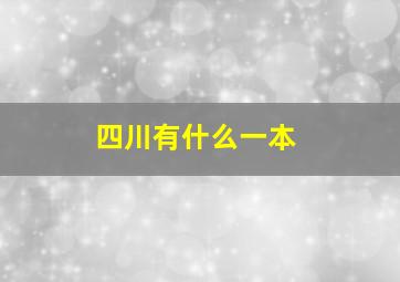 四川有什么一本