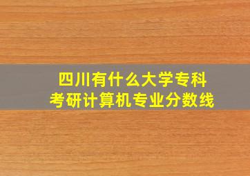 四川有什么大学专科考研计算机专业分数线