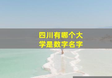 四川有哪个大学是数字名字