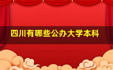 四川有哪些公办大学本科