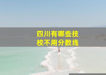 四川有哪些技校不用分数线