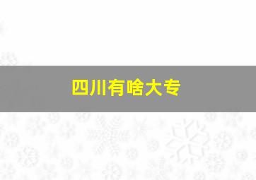 四川有啥大专