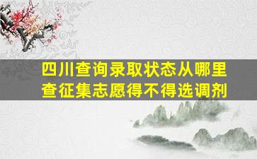 四川查询录取状态从哪里查征集志愿得不得选调剂