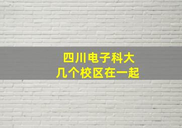 四川电子科大几个校区在一起