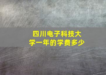 四川电子科技大学一年的学费多少