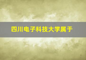 四川电子科技大学属于