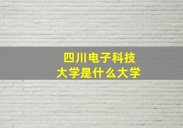 四川电子科技大学是什么大学