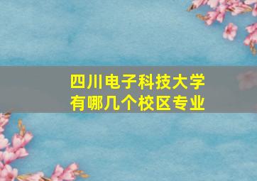 四川电子科技大学有哪几个校区专业