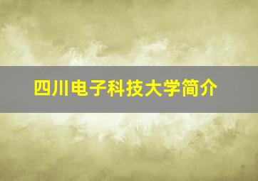 四川电子科技大学简介