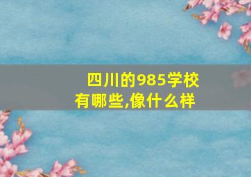 四川的985学校有哪些,像什么样