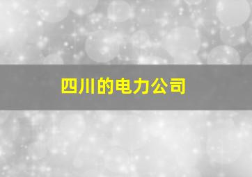 四川的电力公司