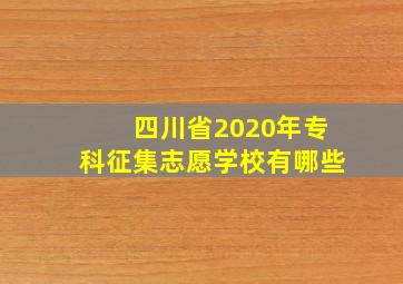 四川省2020年专科征集志愿学校有哪些