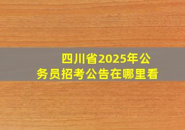 四川省2025年公务员招考公告在哪里看