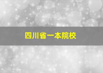 四川省一本院校