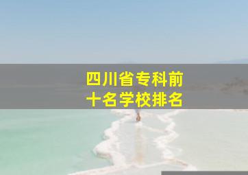 四川省专科前十名学校排名