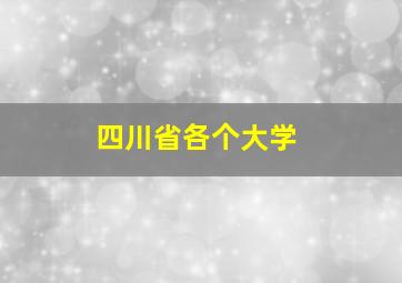 四川省各个大学