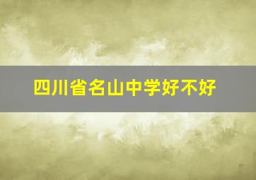 四川省名山中学好不好