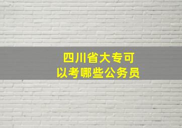 四川省大专可以考哪些公务员