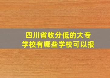 四川省收分低的大专学校有哪些学校可以报