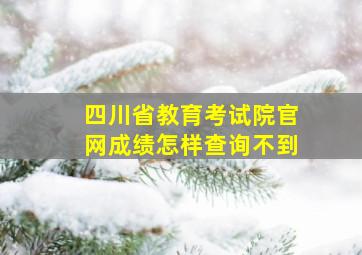 四川省教育考试院官网成绩怎样查询不到