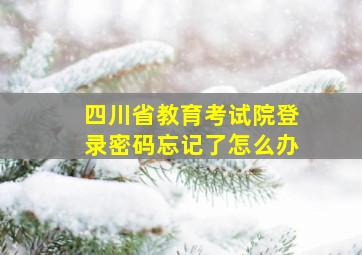 四川省教育考试院登录密码忘记了怎么办