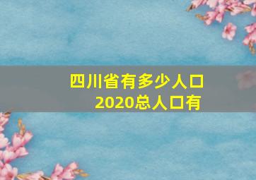 四川省有多少人口2020总人口有