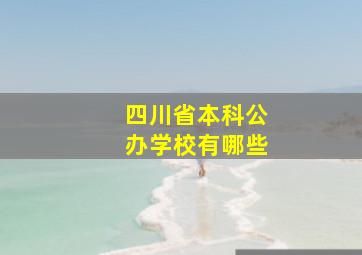 四川省本科公办学校有哪些