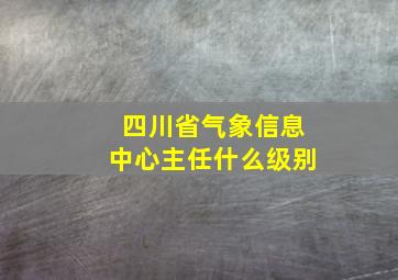 四川省气象信息中心主任什么级别