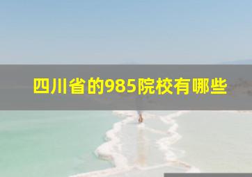 四川省的985院校有哪些