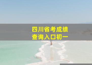 四川省考成绩查询入口初一